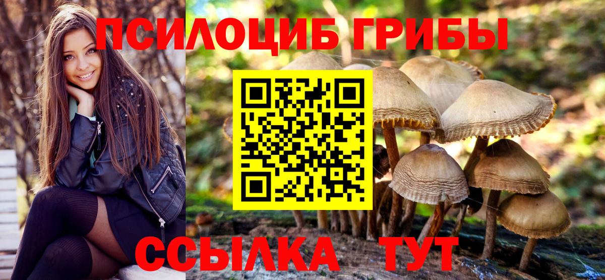 Галлюциногенные грибы Psilocybine cubensis Ливны