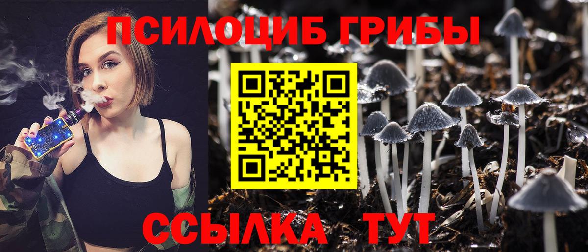 Ливны  Галлюциногенные грибы Psilocybe  Вход с VPN 